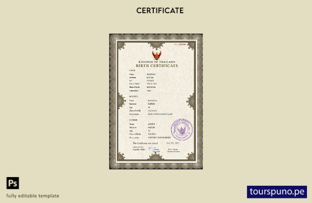 listo para imprimir plantilla PSD de certificado de nacimiento de registro vi 33